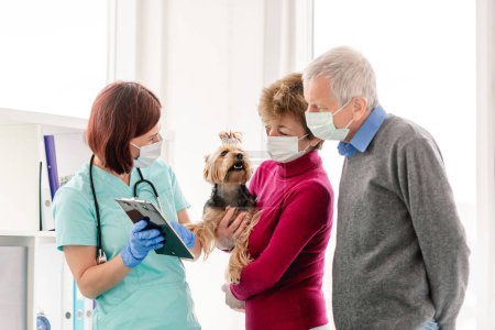 Foto de Veterinario explicar yorkshire terrier diagnóstico a un par de propietarios en máscaras protectoras durante la cita en la clínica veterinaria - Imagen libre de derechos