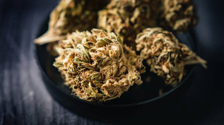 Téléchargez les photos : Le cannabis CBD sec, également connu sous le nom de fleurs de chanvre séchées, est exposé sur une table en bois. - en image libre de droit
