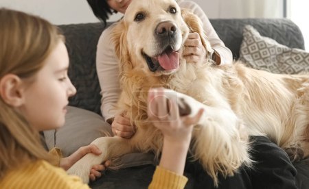 Photo for Mother and girl daughter playing with golden retriever dog paws sitting on sofa at home. Pretty teen kid and young woman petting purebred doggy pet indoors - Royalty Free Image
