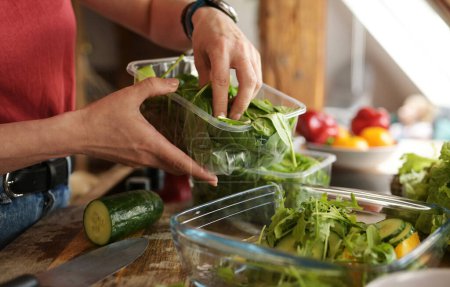 Téléchargez les photos : Fille ajoutant une verdure fraîche et de la roquette à la salade de légumes frais dans le bol dans la cuisine - en image libre de droit