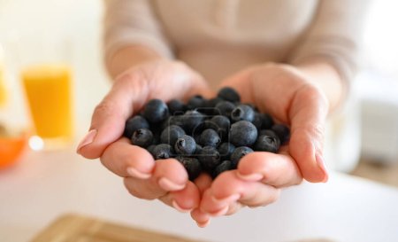 Téléchargez les photos : Girl holding blueberry in hands, Handful of berries - en image libre de droit
