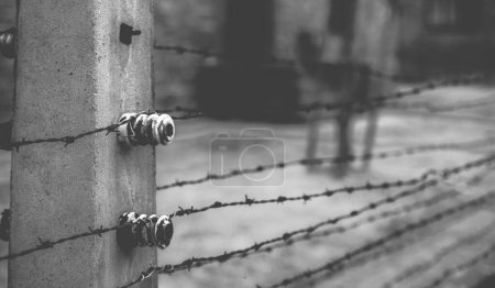 Téléchargez les photos : Pologne, Auschwitz - 18 avril 2014 : Clôture barbelée dans le camp de concentration d'Auschwitz II-Birkenau - en image libre de droit