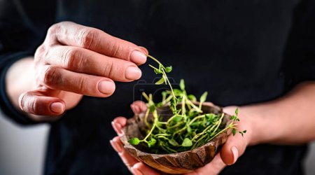 Photo for Girl hands holding bowl with microgreen sprouts closeup. Woman with natural organic eco fresh plants - Royalty Free Image