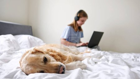Foto de Hermoso perro Golden Retriever acostado en la cama mientras una niña pequeña trabaja en su computadora portátil - Imagen libre de derechos