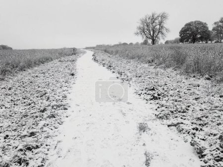 Téléchargez les photos : Un sentier gelé et enneigé traversant un terrain découvert capturé en décembre au Royaume-Uni. Frost Folley Bracknell Berkshire. - en image libre de droit