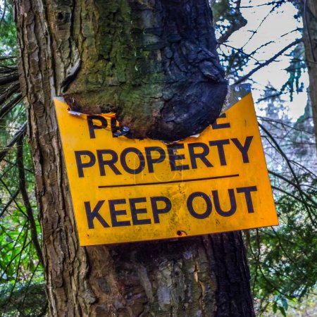 A very old yellow private property keep-out sign buried in a tree trunk.