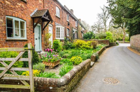 Terrace of English cottages in Invinghoe in Buckingham shire with flowers in front gardens and small road.