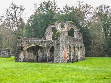 Waverly Abbey Farnham Surrey. Ruins of building with green grass.
