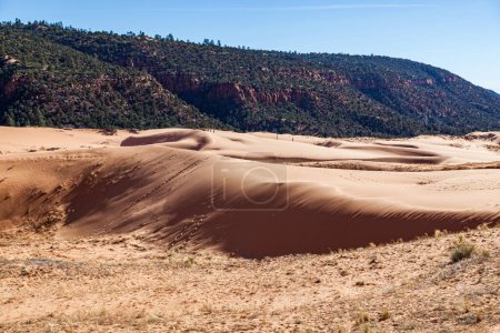 Fine pink sand makes up the rolling and shifting dunes in a valley with wildlife and people tracks at Coral Pink Sand Dunes State Park in Utah.
