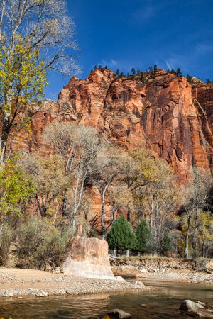 The Temple of Sinawava area at Zion National Park in Utah which is the start of the upstream hike through The Virgin River and The Narrows hike.