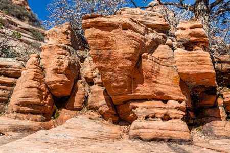 Antigua roca sedimentaria erosionada por el tiempo y el tiempo en esculturas únicas que decoran el paisaje en el área de Kolob Terrace del Parque Nacional Zion, Utah.