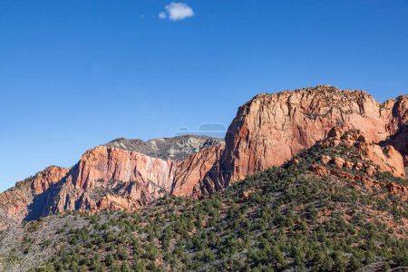 Horse Ranch Mountain in afternoon sunshine with tree covered debris hills below and a vibrant blue sky with one cloud above in Zion National Park, Utah.