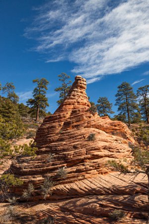 Antigua roca sedimentaria erosionada por el tiempo y el tiempo en esculturas únicas que decoran el paisaje en el área de Kolob Terrace del Parque Nacional Zion, Utah.