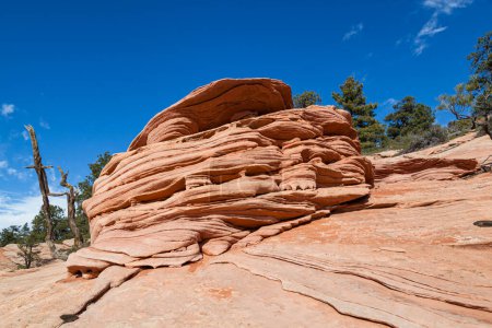 Antikes Sedimentgestein, das durch Zeit und Wetter zu einzigartigen Skulpturen erodiert wurde, die die Landschaft im Gebiet der Kolob-Terrassen im Zion-Nationalpark, Utah, schmücken.