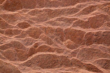 A section of ancient sandstone sediment showing eroded layers in a unique pattern as a background.