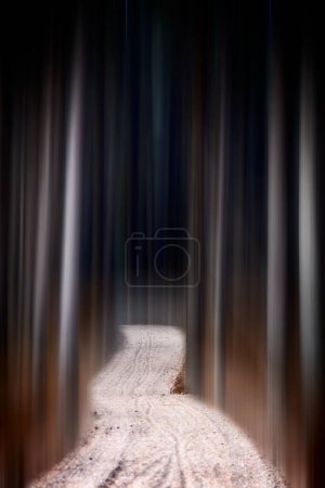 Photo for Blurred Trees Abstract in Canada Saskatchewan Scenic - Royalty Free Image