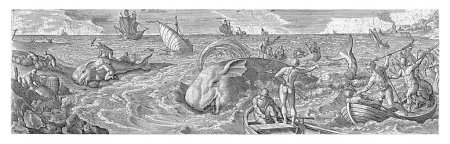 Foto de Los pescadores cazan ballenas con arpones en botes pequeños. Los animales son sacrificados en la playa. La impresión tiene un título en latín y forma parte de una serie de 54 grabados. - Imagen libre de derechos
