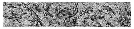 Téléchargez les photos : Frise avec douze oiseaux, dont une pirogue, Nicolaes de Bruyn, d'après Hans Liefrinck (II), d'après Hans Collaert (I), 1581 - 1656 Fond gauche une pirogue. - en image libre de droit
