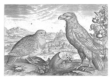 Téléchargez les photos : Une perdrix et un aigle dans un paysage. L'impression fait partie d'une série avec des oiseaux comme sujet. - en image libre de droit