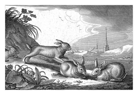 Dünenlandschaft mit Kaninchen, Reinier van Persijn, nach Jacob Gerritsz Cuyp, 1641
