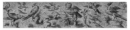 Téléchargez les photos : Frise avec onze oiseaux, dont un hibou, Nicolaes de Bruyn, d'après Hans Liefrinck (II), d'après Hans Collaert (I), 1581 - 1656 Un hibou au milieu. À gauche de la chouette deux oiseaux en vol. - en image libre de droit