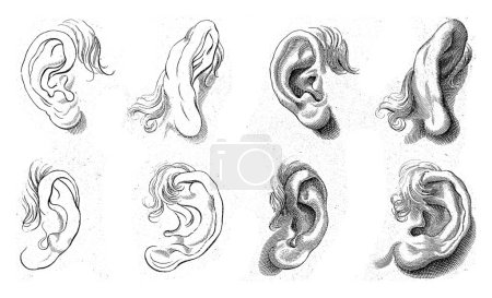 Téléchargez les photos : Étude de différentes oreilles, anonymes, d'après Annibale Carracci, 1675 - 1711 - en image libre de droit