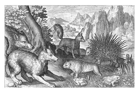 Photo for Wild boar, foxes, beaver, porcupine and frogs, Nicolaes de Bruyn, 1594, vintage engraved. - Royalty Free Image