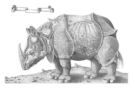 Foto de Rinoceronte, Enea Vico, después de Albrecht Durer, 1542 Un rinoceronte, de pie y giró a la izquierda. Texto de tres líneas en italiano en margen inferior. - Imagen libre de derechos