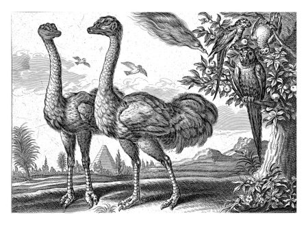 Foto de Dos avestruces, en el árbol de la derecha hay dos loros y un búho. Una pirámide en la distancia. - Imagen libre de derechos