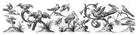 Téléchargez les photos : Frise à douze oiseaux, anonyme, d'après Hans Collaert (I), 1530 - 1580 Au milieu se trouve une cigogne, à gauche et à droite de lui un perroquet est assis sur une branche. - en image libre de droit