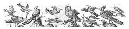 Téléchargez les photos : Frison avec onze oiseaux, à l'extrémité droite est un arbre, anonyme, d'après Hans Collaert (I), 1530 - 1580 Au milieu est un hibou, en bas à gauche est une huppe. - en image libre de droit