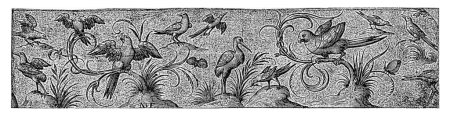 Téléchargez les photos : Frise avec douze oiseaux, dont une cigogne, Nicolaes de Bruyn, d'après Hans Liefrinck (II), d'après Hans Collaert (I), 1581 - 1656 Au milieu une cigogne avec un perroquet sur une branche de chaque côté. - en image libre de droit