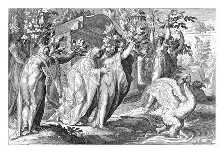 Die Töchter des Sonnengottes (die Heliaden) trauern um ihren Bruder Phaeton und verwandeln sich in Pappeln. Sein Freund und Verwandter Cycnus trauert um einen Schwan.