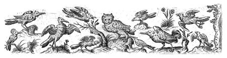 Photo for Frisian with eleven birds, at the right end is a tree, anonymous, after Hans Collaert (I), 1530 - 1580 In the middle is an owl, at the bottom left is a hoopoe. - Royalty Free Image