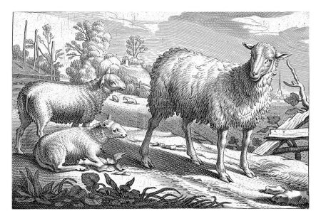 Foto de Prado con una oveja y dos corderos, Reinier van Persijn, después de Jacob Gerritsz Cuyp, 1641 - Imagen libre de derechos