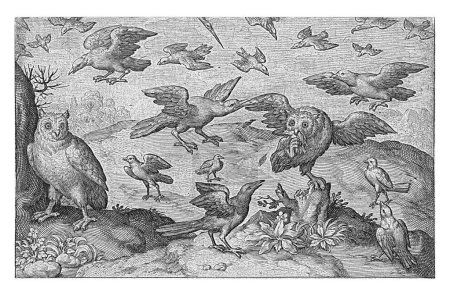 Téléchargez les photos : Hibou attaqué avec des proies par d'autres oiseaux, Nicolaes de Bruyn, 1594 Un hibou a attrapé un petit oiseau et est attaqué par d'autres oiseaux, y compris des corbeaux. Une seconde montre hibou. - en image libre de droit