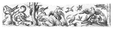 Téléchargez les photos : Frise avec dix oiseaux et un insecte, anonyme, d'après Hans Collaert (I), 1530-1580 À l'extrémité droite de la frise se trouve un arbre. A gauche, un arbre et un arbuste. - en image libre de droit