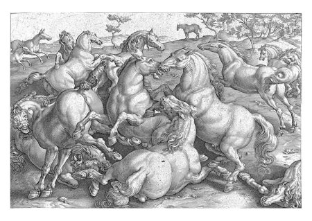 Twelve horses engaged in a ferocious fight. In the background on the left two donkeys come running.