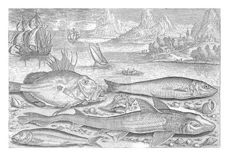 Foto de Cuatro peces en la playa, Adriaen Collaert, 1627 - 1636 Un gudgeon, una zarza, un esturión y un arenque se lavan en la playa junto con algunas conchas. - Imagen libre de derechos