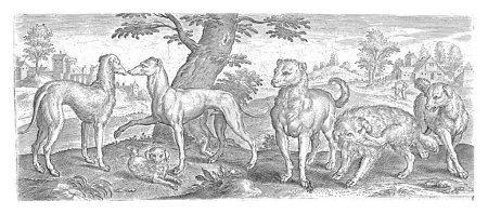 Foto de Perros, Abraham de Bruyn, después de 1583 Una colección de 6 tipos de perros (galgos de pelo largo, galgos de pelo corto, perros falderos, etc.). Los perros están de pie o sentados y uno se rasca la oreja. - Imagen libre de derechos