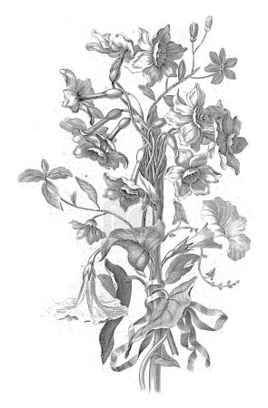 Téléchargez les photos : Bouquet de jonquille et d'asclépiade, Jean Jacques Avril (I), d'après Jean Baptiste Monnoyer, 1754 - 1794 Les fleurs sont attachées avec un ruban. - en image libre de droit