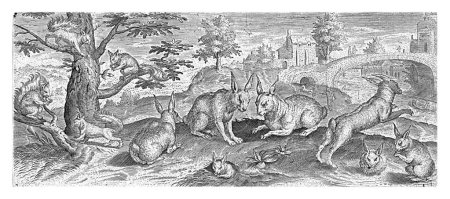Téléchargez les photos : Écureuils et lapins, Abraham de Bruyn, 1583, écureuils et lapins à l'état sauvage. Les 4 écureuils, à gauche, sont tous dans un arbre. Les 7 lapins, au centre et à droite, sont assis, debout ou en courant. - en image libre de droit