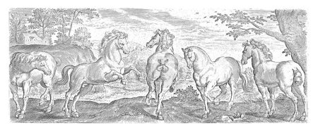 Foto de Caballos, Abraham de Bruyn (posiblemente), 1583 Una colección de caballos. De izquierda a derecha, la impresión muestra 5 caballos diferentes en diferentes posiciones y perfiles. - Imagen libre de derechos