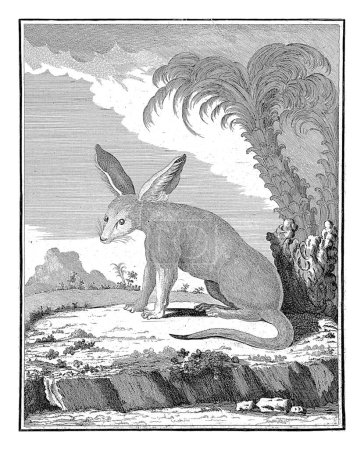 Téléchargez les photos : Animal inconnu, W. Tringham, d'après Jacques de Seve, 1773 Animal au museau pointu, aux longues oreilles et à la longue queue près d'un palmier, gravé vintage. - en image libre de droit