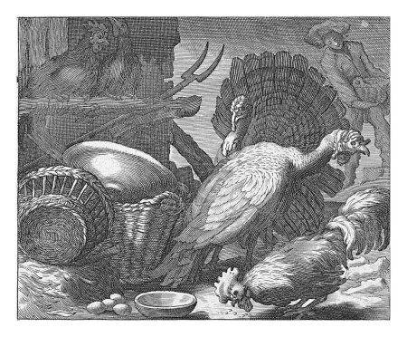 Photo for Chickens and Turkeys, Boetius Adamsz. Bolswert, after Abraham Bloemaert, 1611 - 1661, vintage engraved. - Royalty Free Image