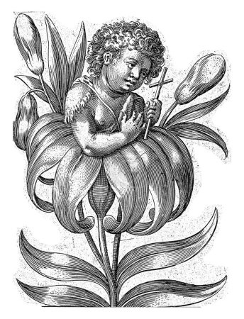 Photo for John the Baptist emerging from a lily, Wierix (possibly), 1550 - 1650 The young John the Baptist emerges from a lily. He wears a camel coat and holds a cross in his hand. - Royalty Free Image