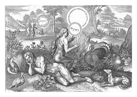 Creación de Eva, Johann Sadeler (I), después de Crispijn van de Passe (I), 1639 La Creación de Eva. En primer plano Adam está durmiendo. Eva fue creada de su lado.