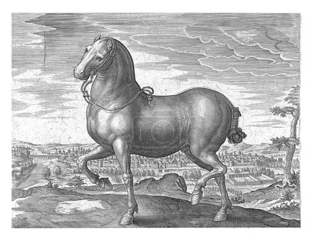 Foto de Caballo de Inglaterra, Hans Collaert (I) (atribuido a), después de Jan van der Straet, c. 1578 - c. 1582 Un caballo inglés, en perfil. - Imagen libre de derechos