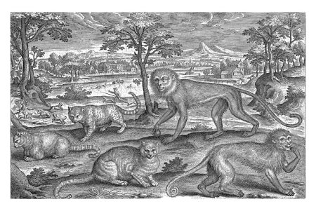 Téléchargez les photos : Singes et chats, Adriaen Collaert, 1595-1599 Deux singes et trois chats au premier plan. En arrière-plan un paysage avec des hommes chassant des singes. - en image libre de droit