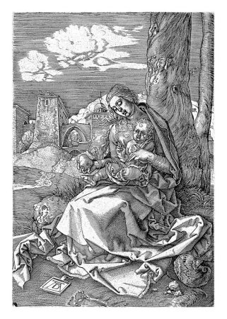 Foto de Virgen con el Niño y una Pera, Jerónimo Wierix, después de Albrecht Durer, 1563 - antes de 1619 La Virgen está sentada junto a un árbol con el Niño Jesús en su regazo y una pera en su mano. - Imagen libre de derechos